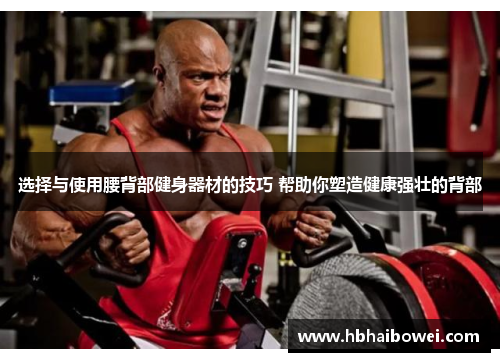 选择与使用腰背部健身器材的技巧 帮助你塑造健康强壮的背部